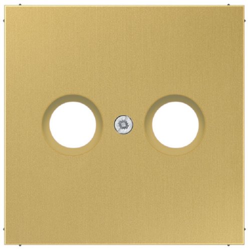 Лицевая панель Jung LS990 metal для 2-м. розетки TV+R латунь фото Лицевая панель Jung LS990 metal для 2-м. розетки TV+R латунь картинка